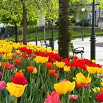 Szyndzielnia Gory & Enduro & Balkon & Parking & Rowerownia Idealna Baza Wypadowa W Beskidy Bielsko-Biala
