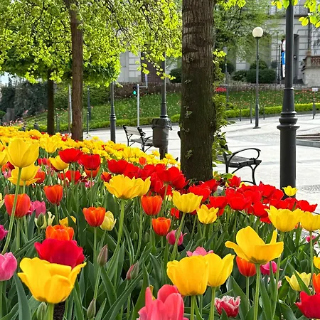 Szyndzielnia 2 & Balkon & Parking & Rowerownia Workation Office - Nowa Najlepsza Baza Wypadowa W Beskidy Bielsko-Biała