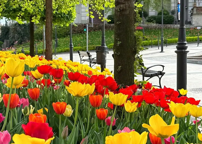 Nowe Szyndzielnia 2 & Balkon & Parking & Rowerownia Workation Office - Najlepsza Baza Wypadowa W Beskidy Bílsko-Bělá