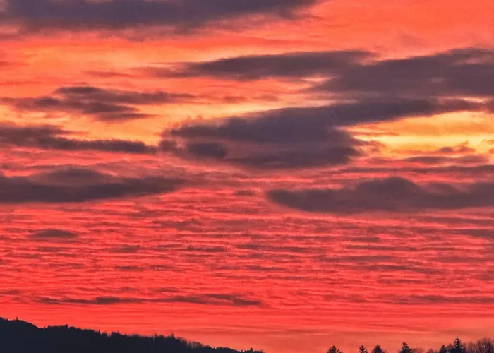 Nowe Szyndzielnia 2 & Balkon & Parking & Rowerownia Workation Office - Najlepsza Baza Wypadowa W Beskidy Bielsko-Biala