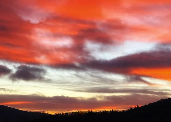 A Gdyby Tak Rzucic Wszystko I Wyjechac W Gory - Apartamenty Szyndzielnia 2 Pokoje & Balkon & Parking & Rowerownia Workation Home Office